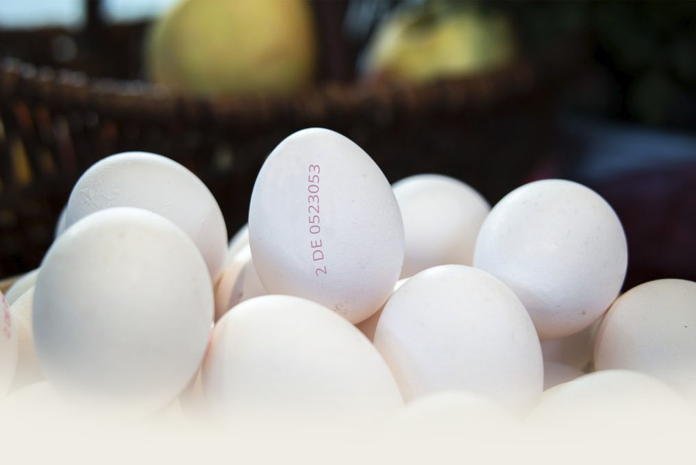 Egg labeling